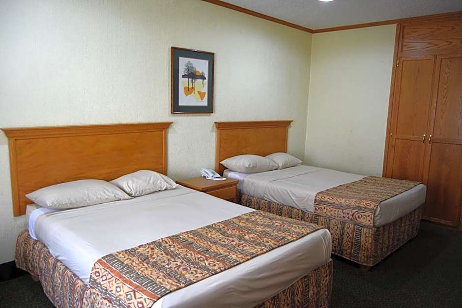 Hotel Sicomoro