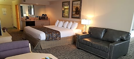 EXECUTIVE SUITE ONE KING BED/ SLEEPER SOFA