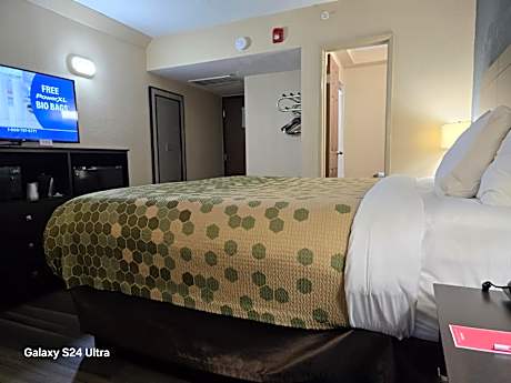King Room - Non-Smoking