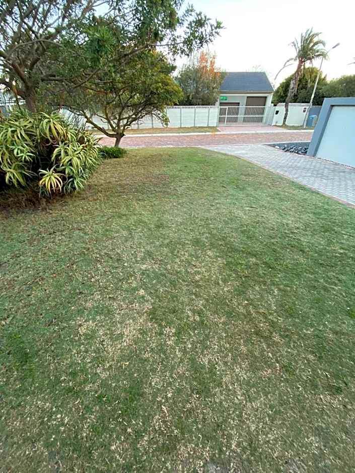 Modern Cozy Apartment Near Beach- 1 Bedroom