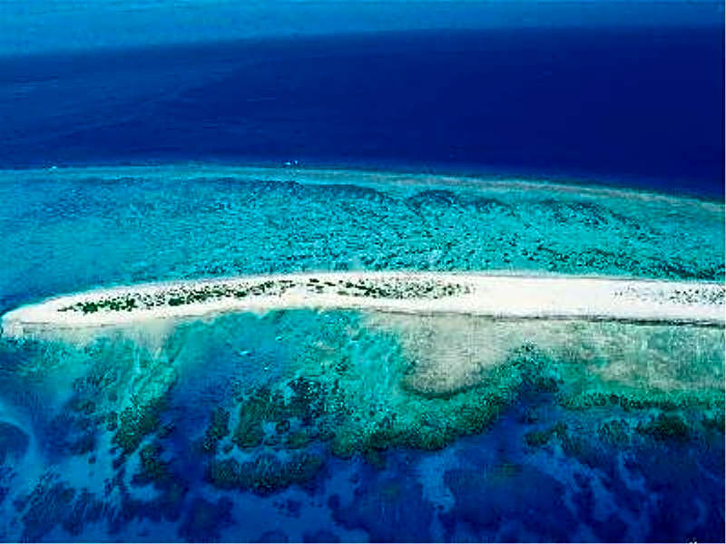 Kariyushi COndominium Resort Naha Living Inn Asahibashiekimae Annex and Premier