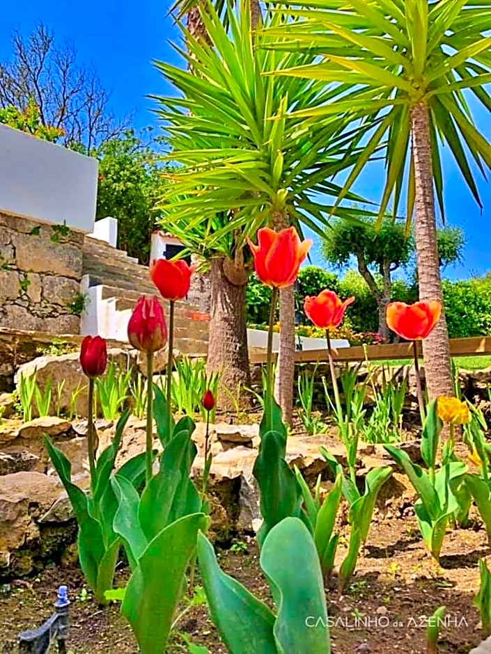 Casalinho da Azenha - Charm House