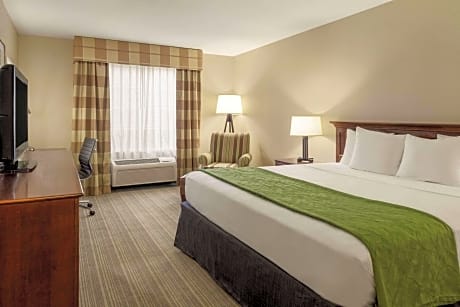1 King Bed, Nonsmoking, Accessible