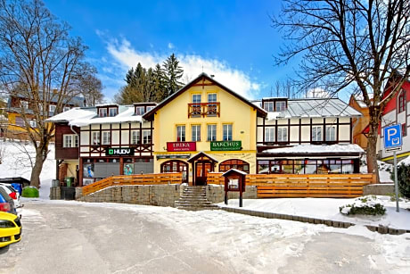 Hotel Erika