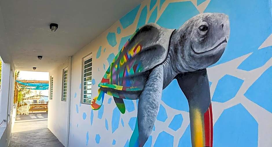 The Surfing Turtle