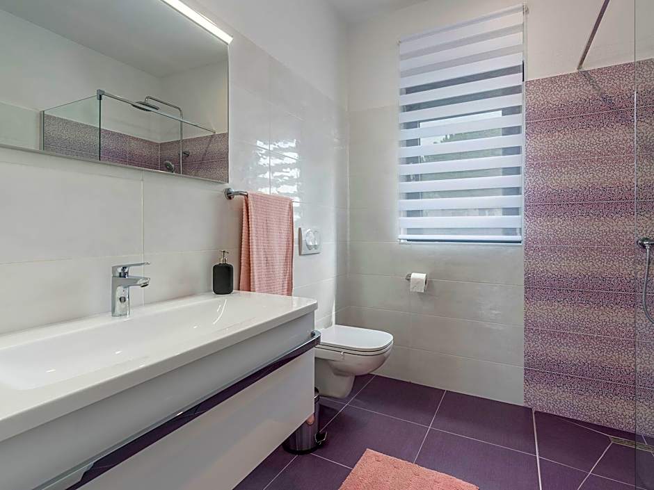 Villa in Novigrad with Private Pool and Beach