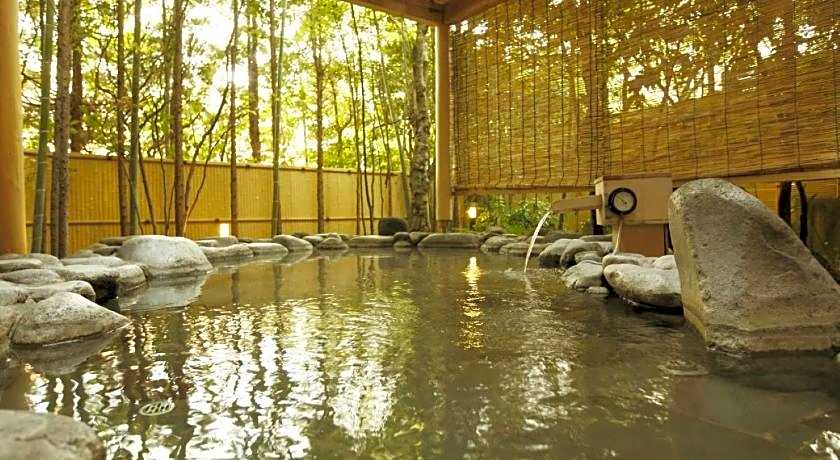 Hakone Kowakudani Onsen Ryokan Mizunoto