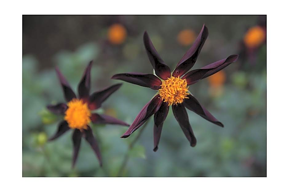 Château d'Harcelaines