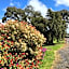 Limestone Coast Tourist Park
