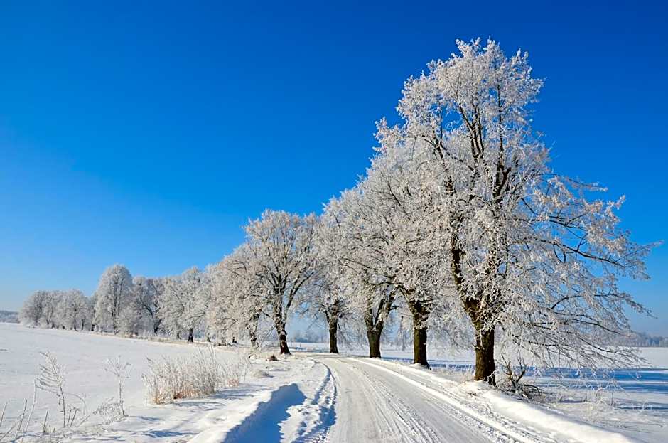 Stara Szkoła w Harszu