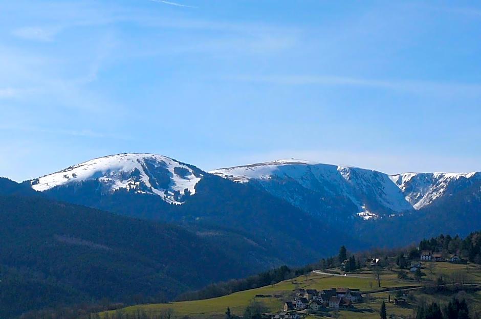Résidence SoAnSa du Gérardmer de la Sci Rsast - Col de la Schlucht