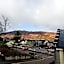 No. 1 Caberfeidh