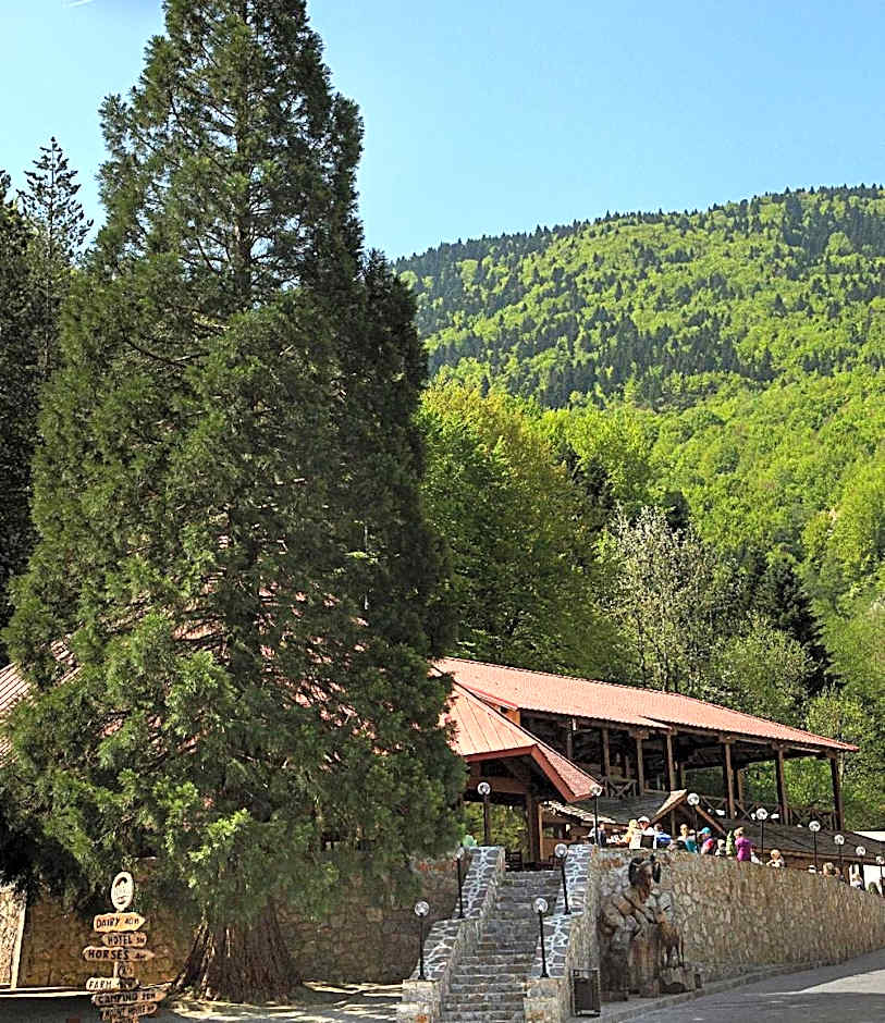 Hotel Korab Trnica