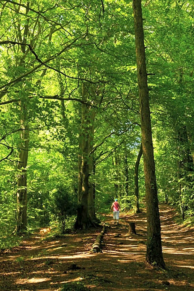 Croft House Guest Suite Painswick