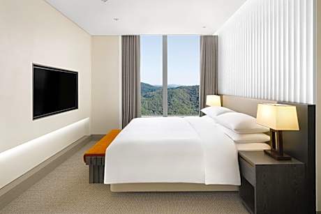 Onoma Suite
