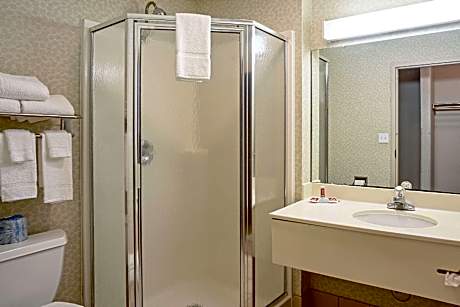 1 King Bed, Suite, No Smoking