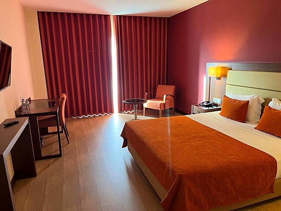 Palace Hotel & SPA Termas do Bicanho