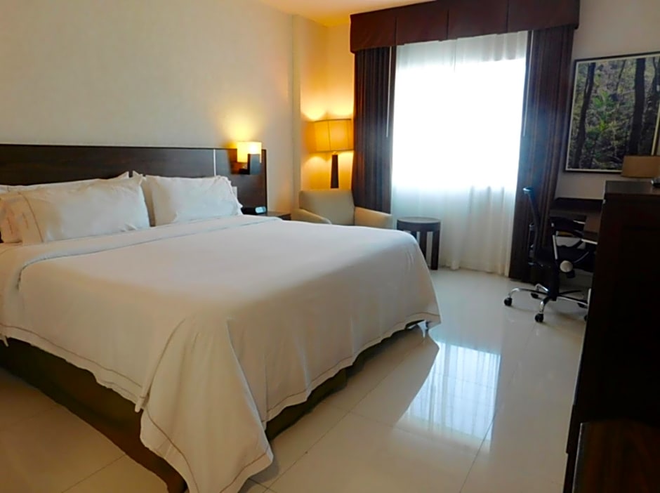 Holiday Inn Express Tuxtla Gutierrez La Marimba