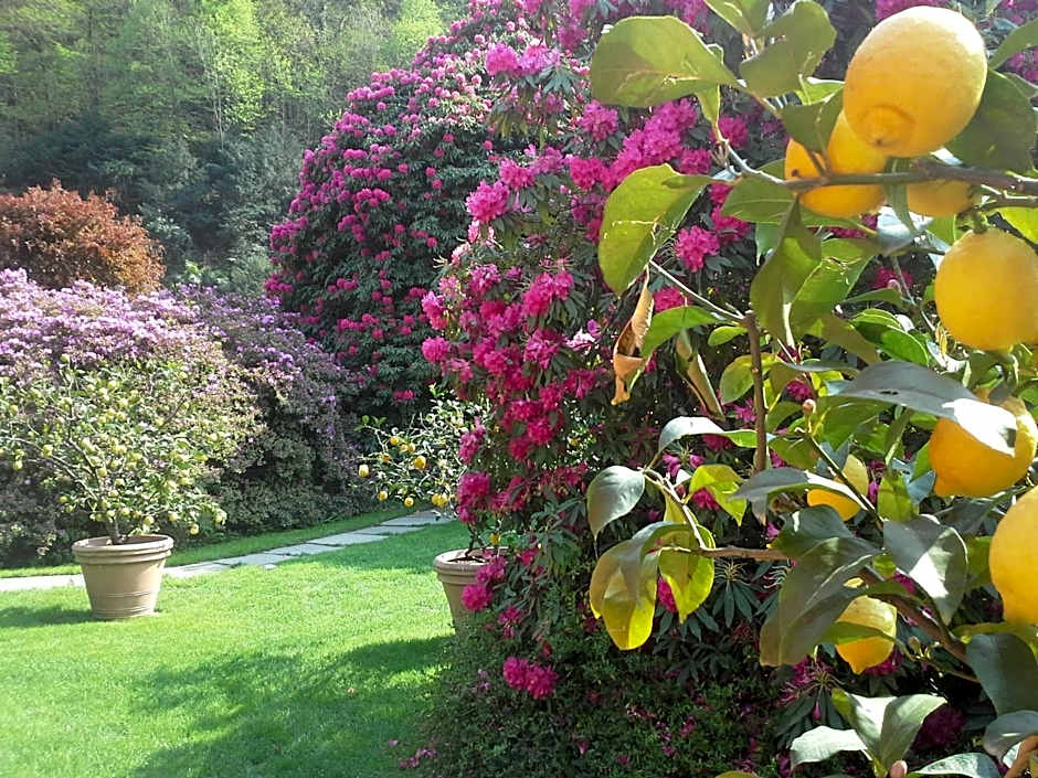 Park Hotel Villa Belvedere