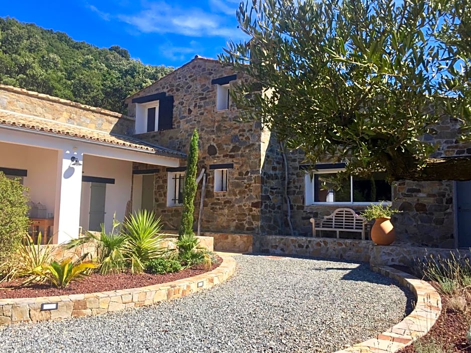 Les Aurochs – Port Grimaud/Grimaud, ID