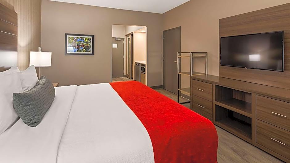 Photo 1 of 9 of 1 King Bed, Accessible