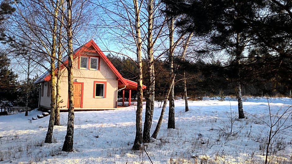 Domek Letniskowy przy lesie