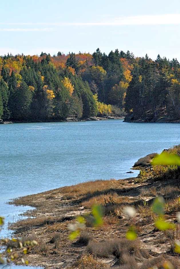 Dominion Hill Country Inn