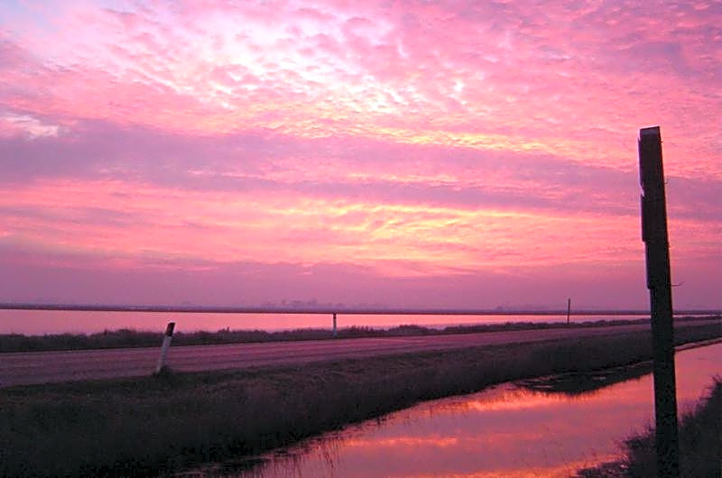 Residence Crystal Palace