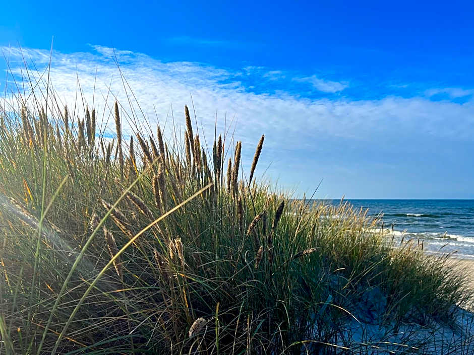 Rewita Rogowo k Kołobrzegu