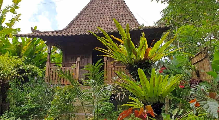 Bali Mountain Retreat