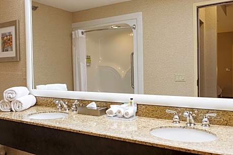1 King Suite Sofa Bed Wet Bar