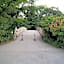 Macaw Guest House