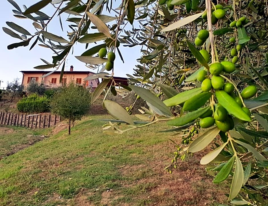 B&B I Coppi