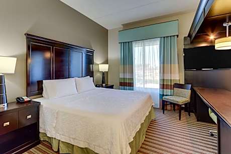 1 King Studio Suite W/ Sofabed Nonsmoking