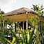 Cocco House
