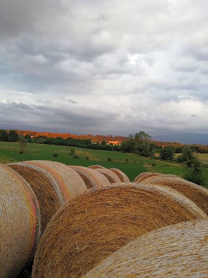 Il Podere della piazza