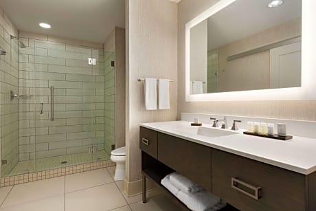 1 King Deluxe Suite