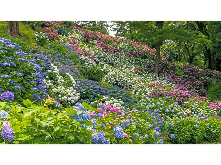 Odawara Terminal Hotel - Vacation STAY 83672v