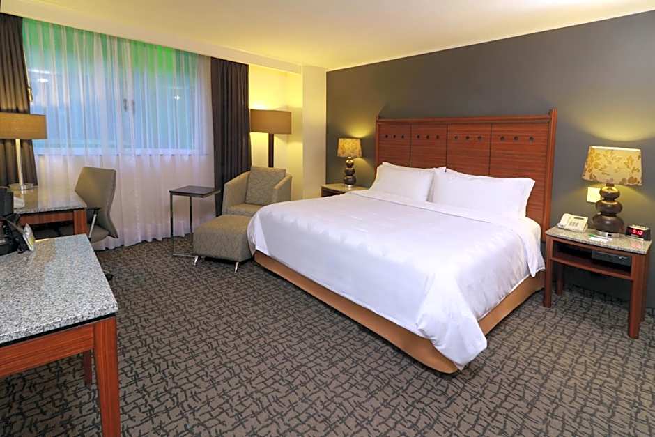 Holiday Inn Mexico City - Trade Center By IHG