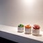 Rooms by JovA