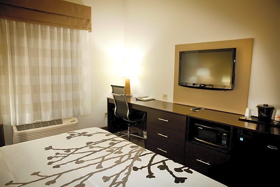 Sleep Inn And Suites Moundsville