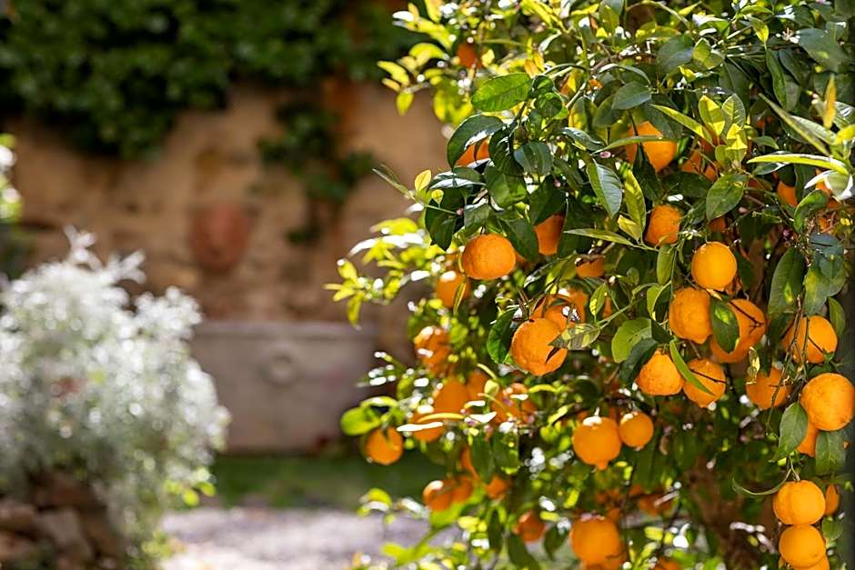 Secret Garden Firenze B&B