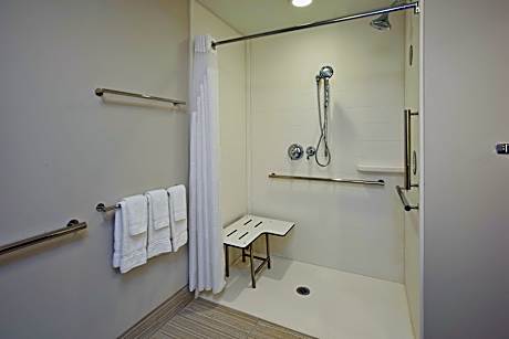 1 King Standard Mobility Accessible Roll In Shower