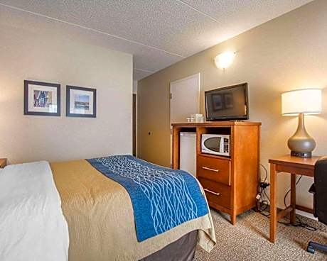 Queen Room with Sofa Bed - Non-Smoking