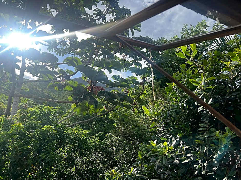 Vista incrível! Chalé com hidromassagem! FU01I