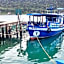 The Mermaid House