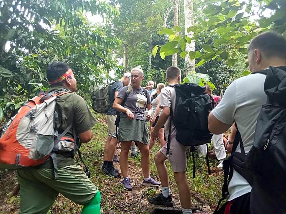 Jungle treking & Jungle Tour if you want to stay here,you must book treking only with us