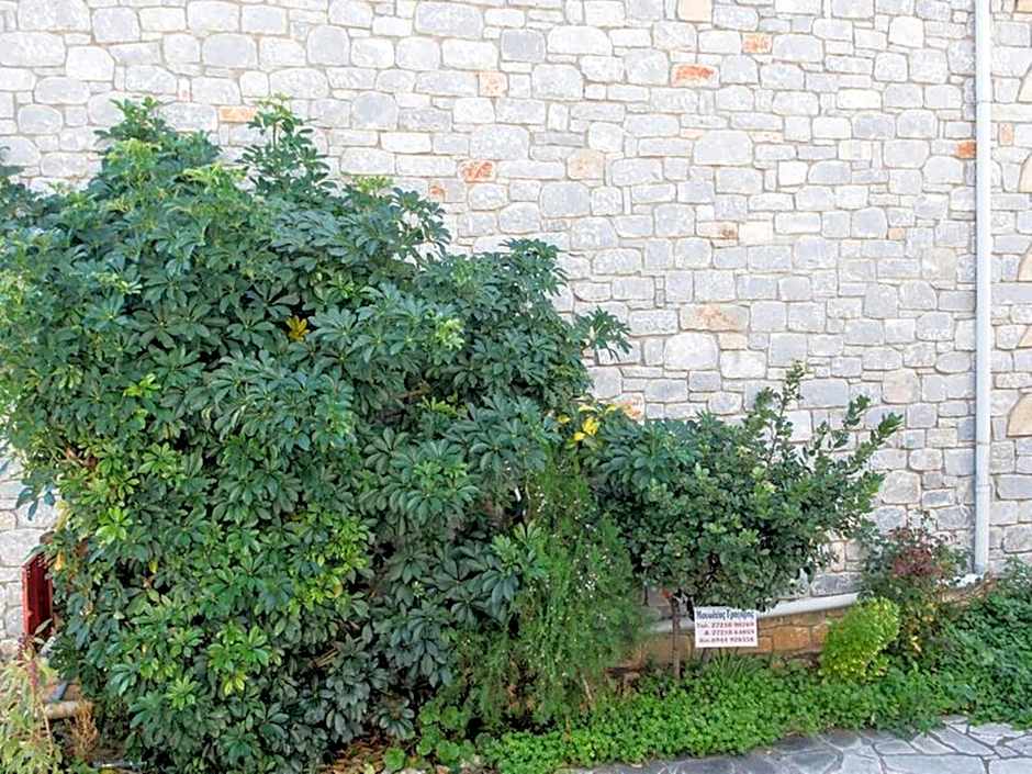 Manoleas Villas - Apartment 8