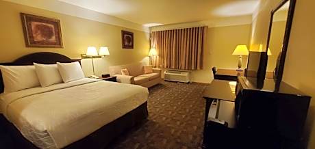 1 King Bed Non-Smoking