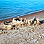 Coastal Home Muini Ūši